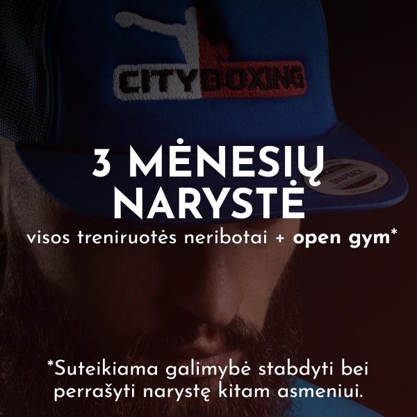 3 Mėnesių