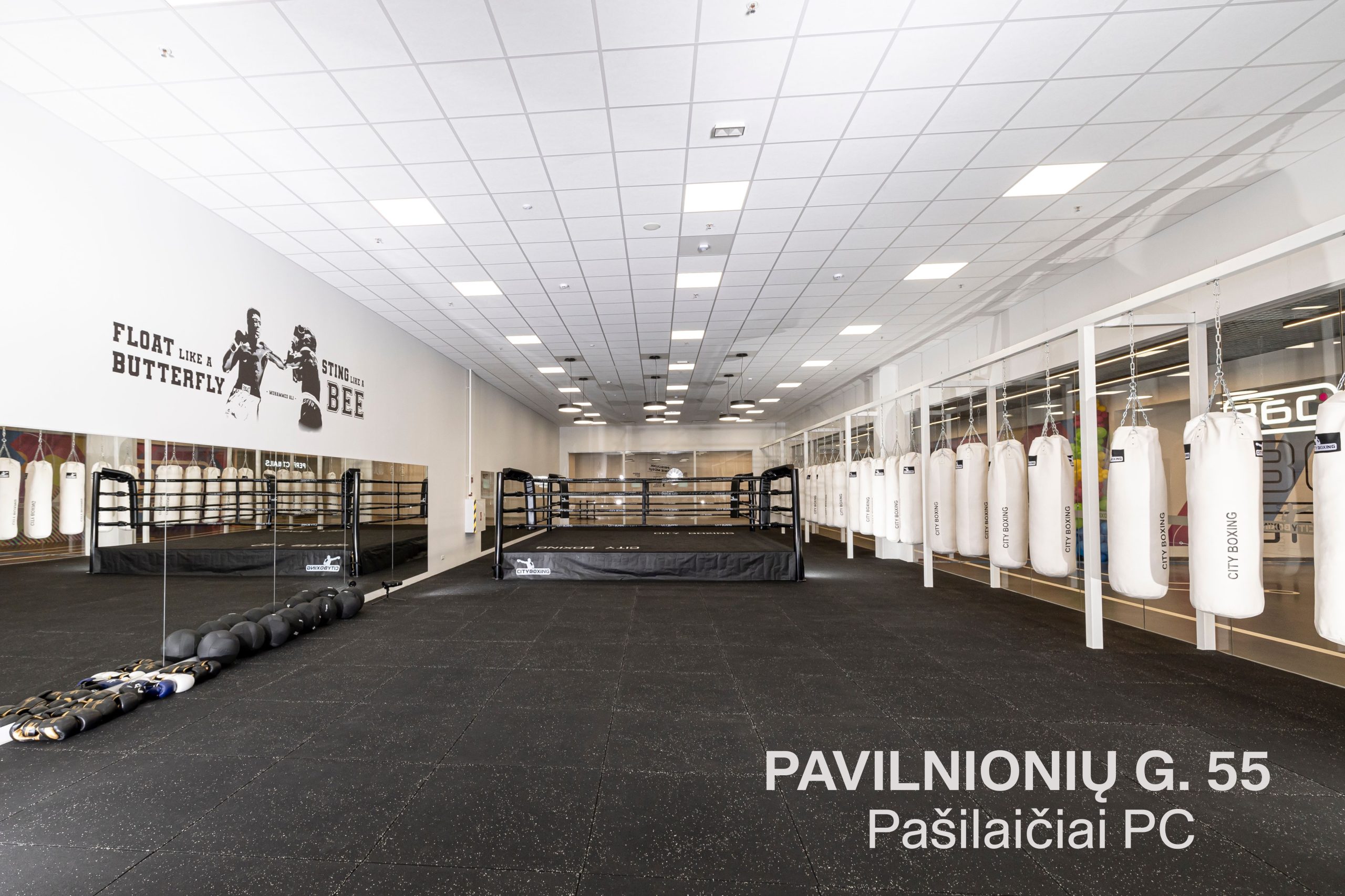 Pasilaiciai_web1